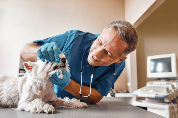 Best Root Canal Emergency Dentist  in Keys, OK